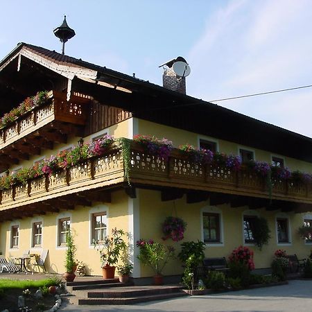 Gaestehaus Steinerhof Salzburg Kültér fotó